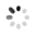 Please wait while the first image is loaded